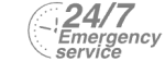 24/7 Emergency Service Pest Control in Hounslow, Lampton, TW3. Call Now! 020 8166 9746