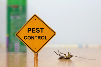 Pest Contol in Hounslow, Lampton, TW3. Call Now 020 8166 9746